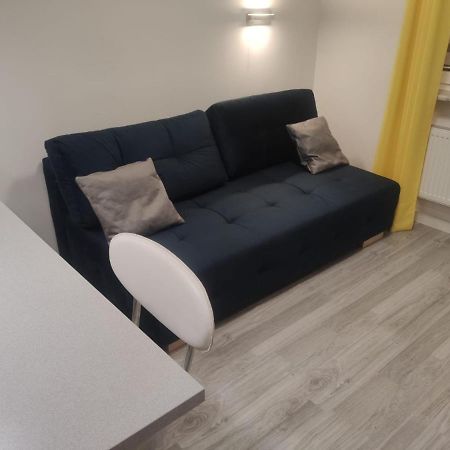 Comfortable Studio Only 20 Minutes From International Conference Center Katowice Best Place For Wuf2022 Eec Tnf Off Etc Siemianowice Śląskie المظهر الخارجي الصورة