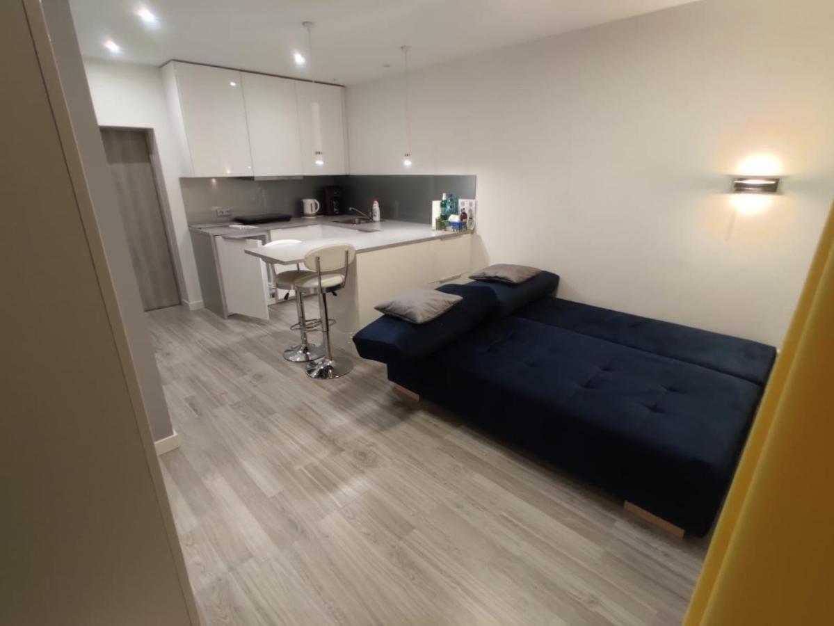 Comfortable Studio Only 20 Minutes From International Conference Center Katowice Best Place For Wuf2022 Eec Tnf Off Etc Siemianowice Śląskie المظهر الخارجي الصورة
