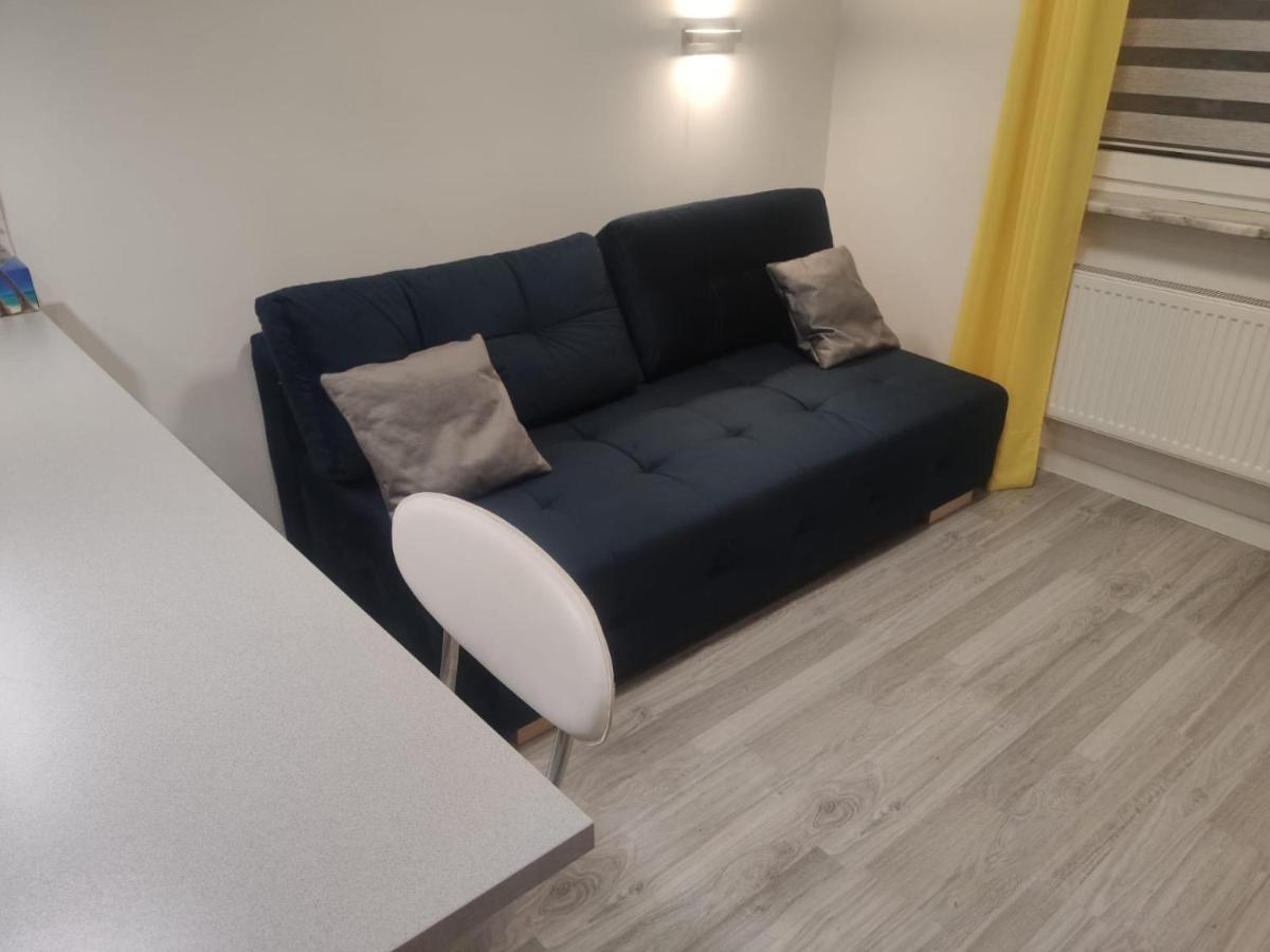 Comfortable Studio Only 20 Minutes From International Conference Center Katowice Best Place For Wuf2022 Eec Tnf Off Etc Siemianowice Śląskie المظهر الخارجي الصورة